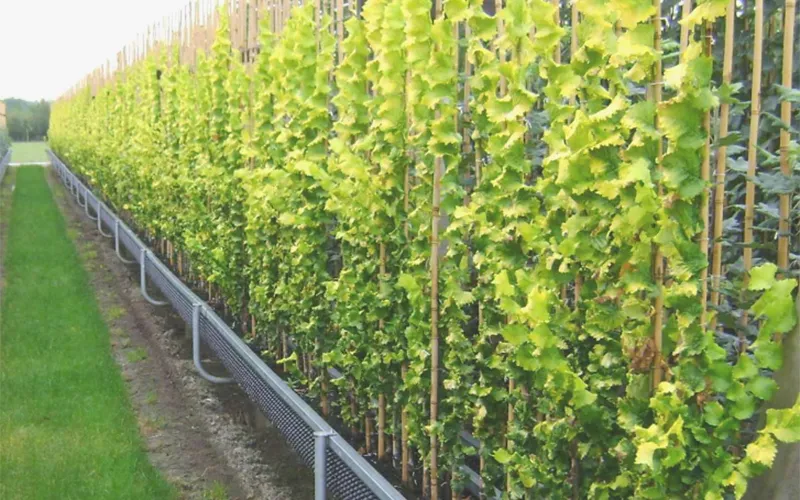 Agriculture & Farming